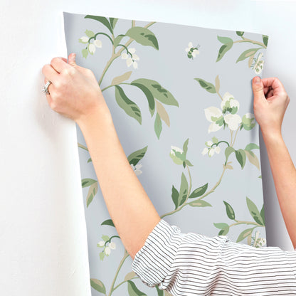 York Wallcoverings Greenhouse Springtime Blue and Green Wallpaper  Florals and Flowers Multicolor   - GO8282