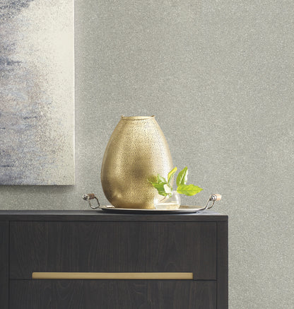 York Wallcoverings Grasscloth Resource Terra Mica Silver Wallpaper Traditional Raised Prints Greys   - GR1013