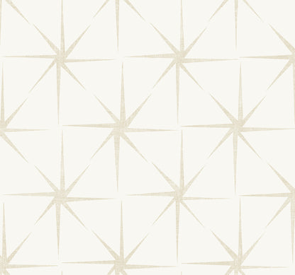 York Wallcoverings Black & White, III Evening Star Pearl Wallpaper Geometrics Geometrics Pearl   - GR5942
