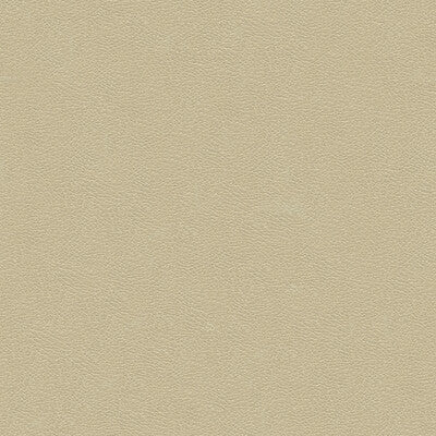 KRAVET DESIGN INDOOR / OUTDOOR TEXTURE BEIGE,BEIGE,   - GRANA.1116.0