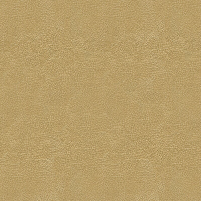 KRAVET DESIGN INDOOR / OUTDOOR TEXTURE BEIGE,BEIGE,   - GRANA.16.0