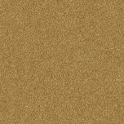 KRAVET DESIGN INDOOR / OUTDOOR TEXTURE CAMEL,BROWN,   - GRANA.1616.0