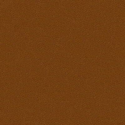 KRAVET DESIGN INDOOR / OUTDOOR TEXTURE CAMEL,BROWN,   - GRANA.616.0