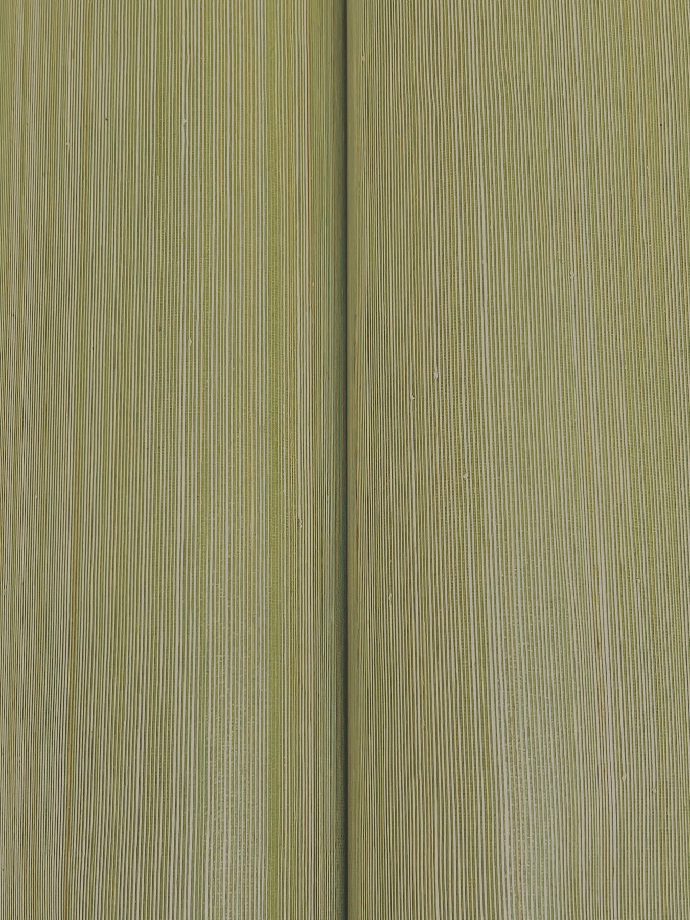 Close-up of olive-green abaca moss grasscloth wallpaper texture, showing fine fibers and a central seam.