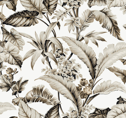 York Wallcoverings Classics Mystic Isle Neutral Wallpaper Eclectic Tropical Neutrals   - GT4503