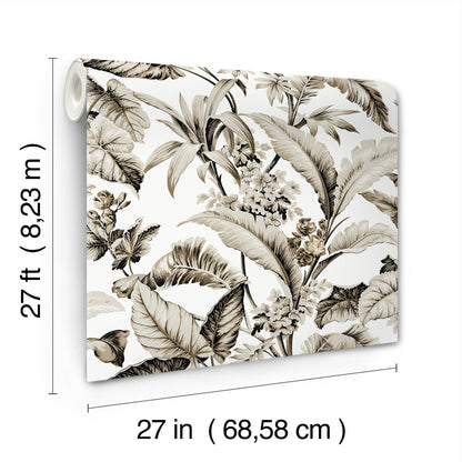 York Wallcoverings Classics Mystic Isle Neutral Wallpaper Eclectic Tropical Neutrals   - GT4503