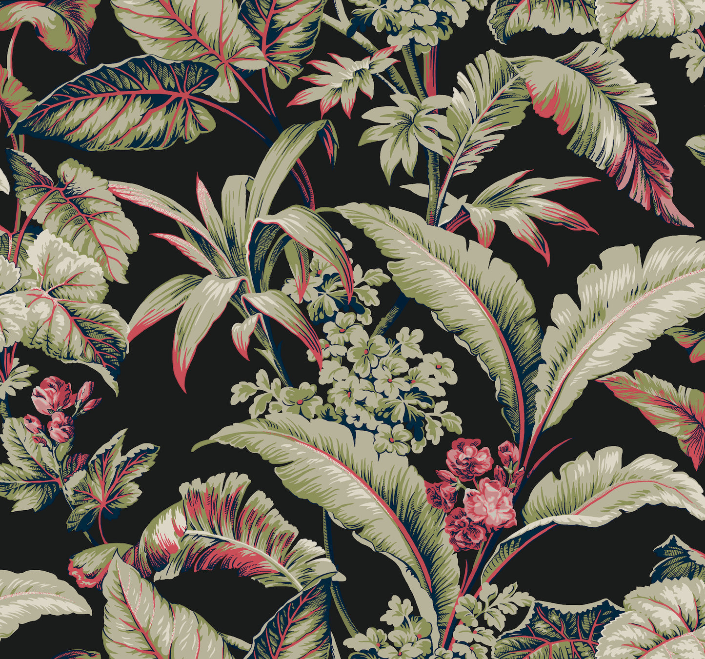 York Wallcoverings Classics Mystic Isle Black Wallpaper Eclectic Tropical Blacks   - GT4504