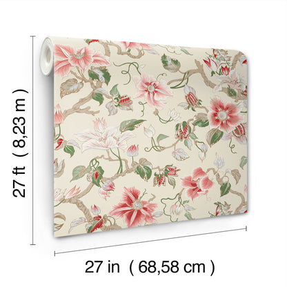 York Wallcoverings Classics Marguerite Vine Cream Wallpaper Vintage Florals Pinks   - GT4513