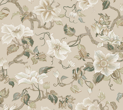 York Wallcoverings Classics Marguerite Vine Taupe Wallpaper Vintage Florals Neutrals   - GT4516
