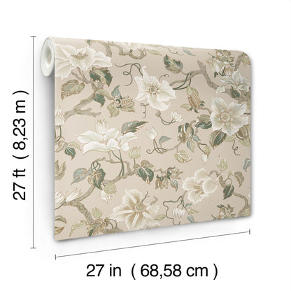 York Wallcoverings Classics Marguerite Vine Taupe Wallpaper Vintage Florals Neutrals   - GT4516