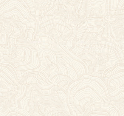 York Wallcoverings Classics Geodes White Wallpaper Eclectic Bohemian Whites and Off-Whites   - GT4529