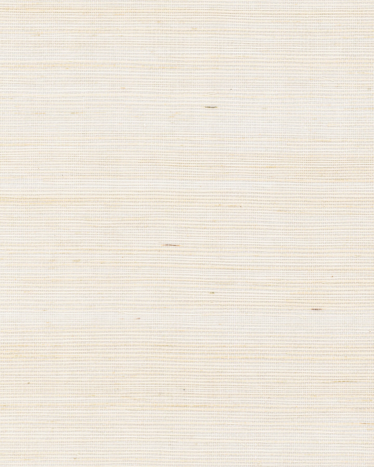 York Wallcoverings Grasscloth and Natural Resource Maguey Sisal Cream Wallpaper Traditional Grasscloth Whites and Off-Whites   - GV0100NW