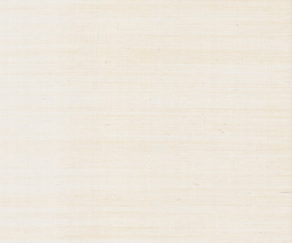 York Wallcoverings Designer Sisals Fan Deck Maguey Sisal Cream Wallpaper Traditional Grasscloth Whites and Off-Whites   - GV0100NWFD