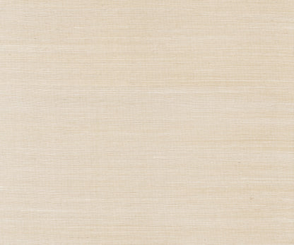 York Wallcoverings Designer Sisals Fan Deck Maguey Sisal Wheat Wallpaper Traditional Grasscloth Beiges   - GV0102NWFD