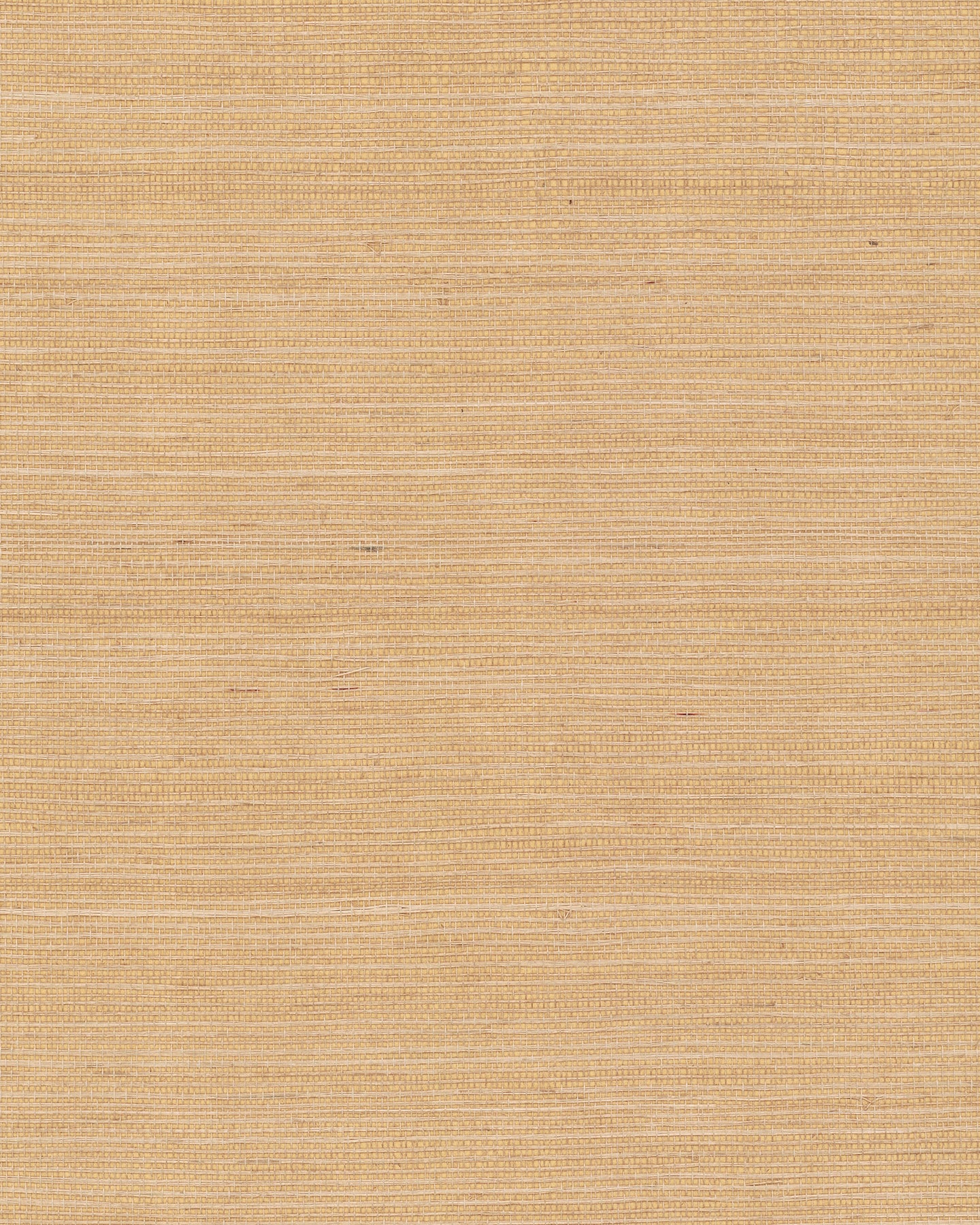 York Wallcoverings Grasscloth and Natural Resource Maguey Sisal Biscotti Wallpaper Traditional Grasscloth Beiges   - GV0103NW