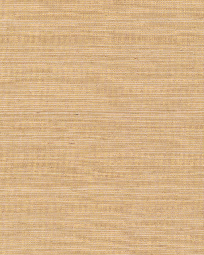 York Wallcoverings Grasscloth and Natural Resource Maguey Sisal Biscotti Wallpaper Traditional Grasscloth Beiges   - GV0103NW
