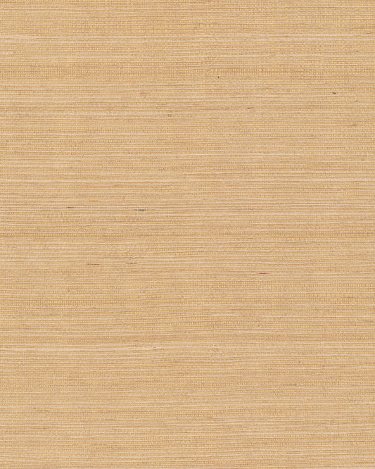 York Wallcoverings Grasscloth and Natural Resource Maguey Sisal Biscotti Wallpaper Traditional Grasscloth Beiges   - GV0103NW