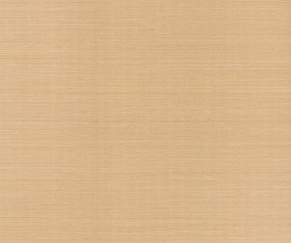 York Wallcoverings Designer Sisals Fan Deck Maguey Sisal Biscotti Wallpaper Traditional Grasscloth Beiges   - GV0103NWFD