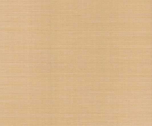 York Wallcoverings Designer Sisals Fan Deck Maguey Sisal Biscotti Wallpaper Traditional Grasscloth Beiges   - GV0103NWFD