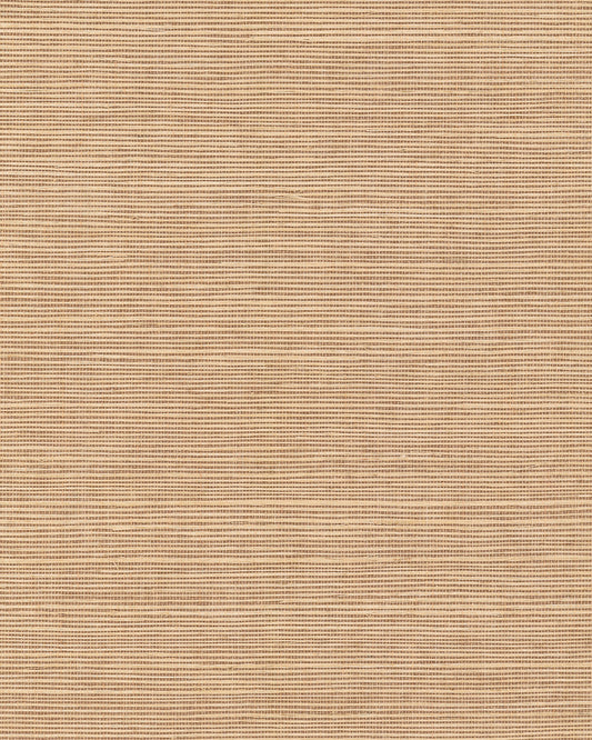 York Wallcoverings Grasscloth and Natural Resource Maguey Sisal Fawn Wallpaper Traditional Grasscloth Browns   - GV0104NW