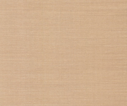 York Wallcoverings Designer Sisals Fan Deck Maguey Sisal Fawn Wallpaper Traditional Grasscloth Browns   - GV0104NWFD