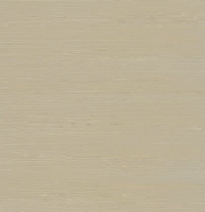 York Wallcoverings Designer Sisals Fan Deck Maguey Sisal Almond Wallpaper Traditional Grasscloth Browns   - GV0105NWFD