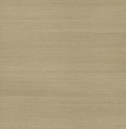 York Wallcoverings Designer Sisals Fan Deck Maguey Sisal Dune Wallpaper Traditional Grasscloth Browns   - GV0106NWFD