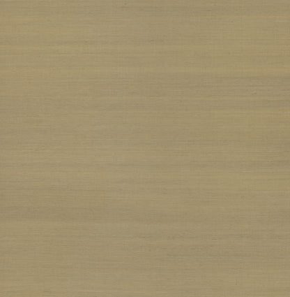 York Wallcoverings Designer Sisals Fan Deck Maguey Sisal Khaki Wallpaper Traditional Grasscloth Browns   - GV0107NWFD