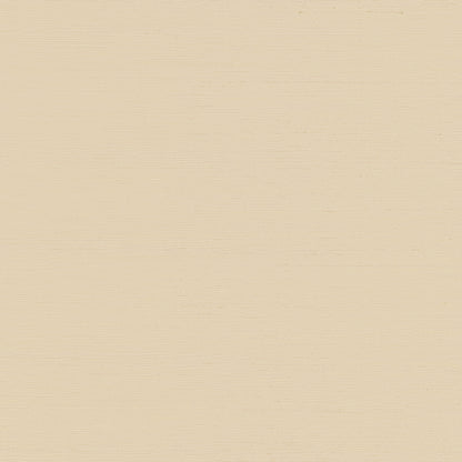 York Wallcoverings Designer Sisals Fan Deck Maguey Sisal Buff Wallpaper Traditional Grasscloth Beiges   - GV0110NWFD