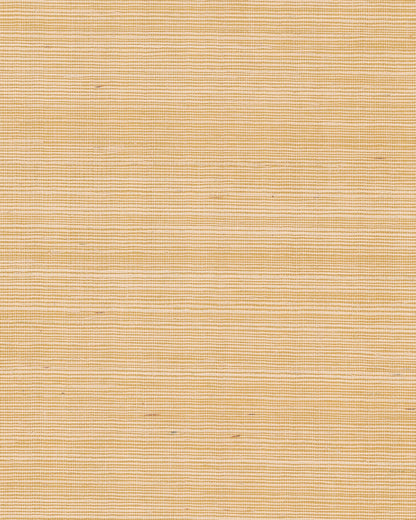 York Wallcoverings Grasscloth and Natural Resource Maguey Sisal Gold Wallpaper Traditional Grasscloth Metallics   - GV0111NW