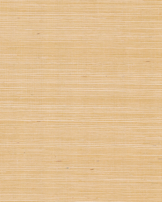 York Wallcoverings Grasscloth and Natural Resource Maguey Sisal Gold Wallpaper Traditional Grasscloth Metallics   - GV0111NW