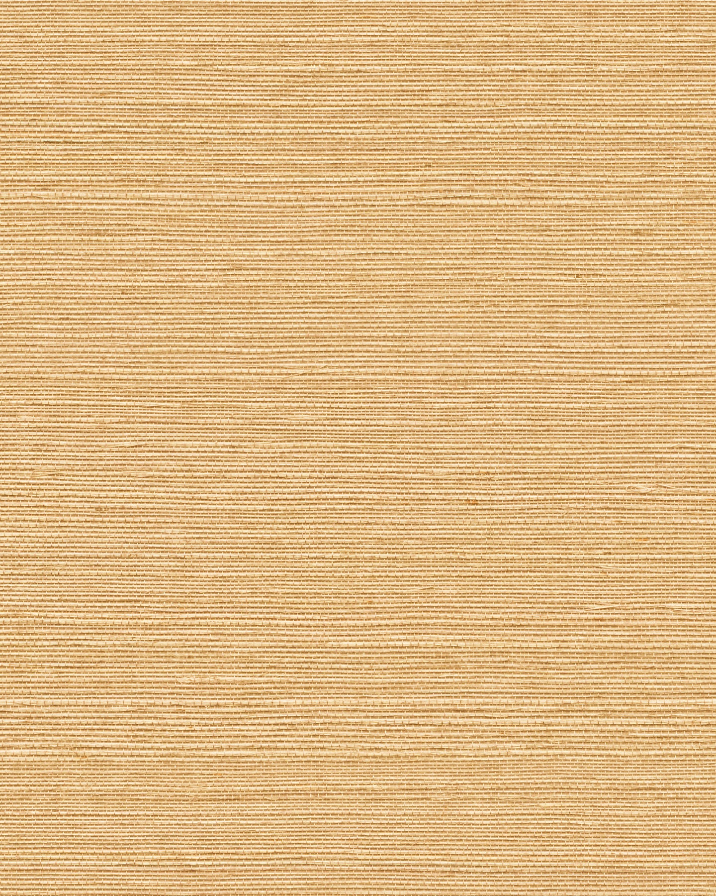 York Wallcoverings Grasscloth and Natural Resource Maguey Sisal Sand Wallpaper Traditional Grasscloth Beiges   - GV0112NW