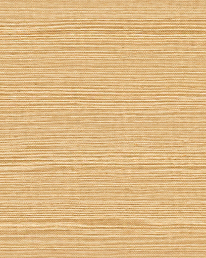 York Wallcoverings Grasscloth and Natural Resource Maguey Sisal Sand Wallpaper Traditional Grasscloth Beiges   - GV0112NW