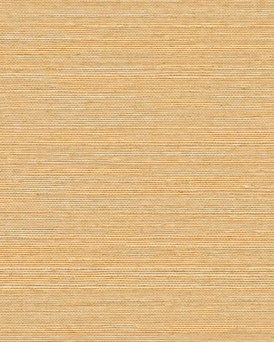 York Wallcoverings Grasscloth and Natural Resource Maguey Sisal Sand Wallpaper Traditional Grasscloth Beiges   - GV0112NW