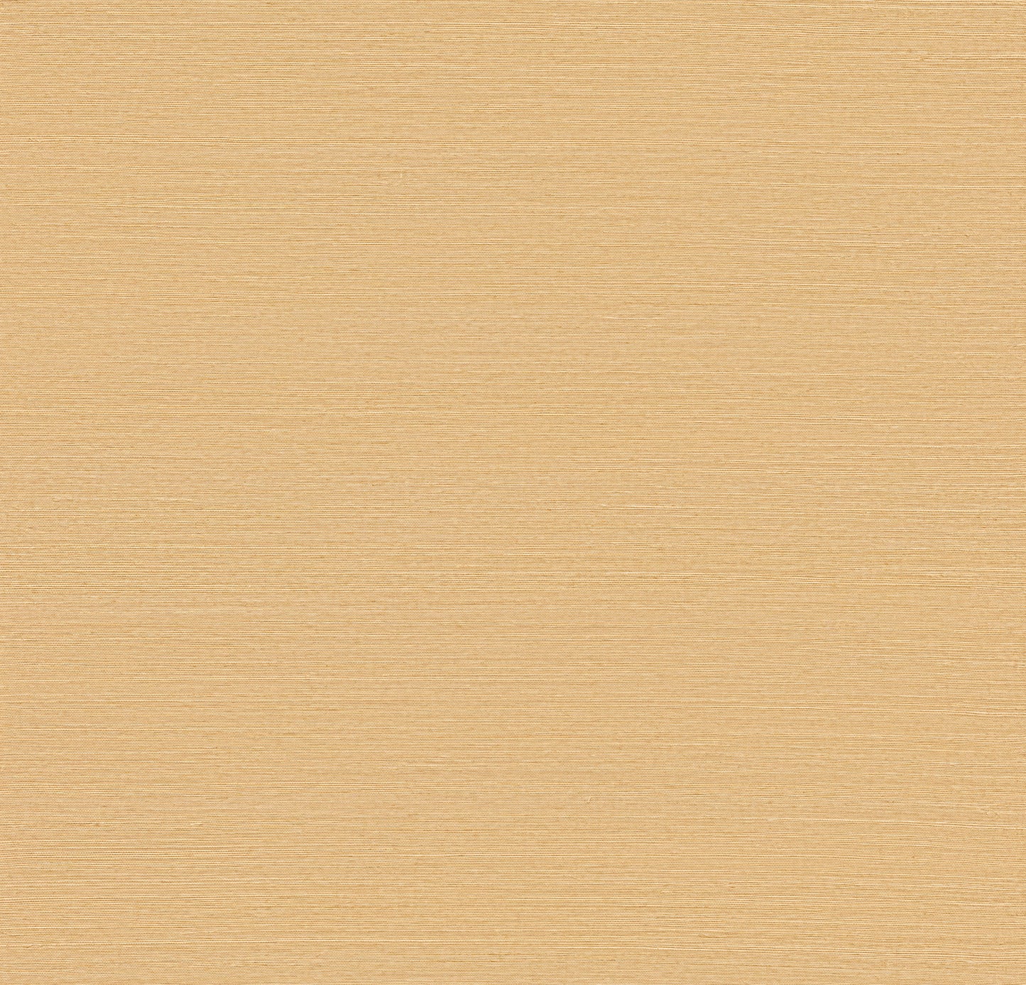 York Wallcoverings Designer Sisals Fan Deck Maguey Sisal Sand Wallpaper Traditional Grasscloth Beiges   - GV0112NWFD