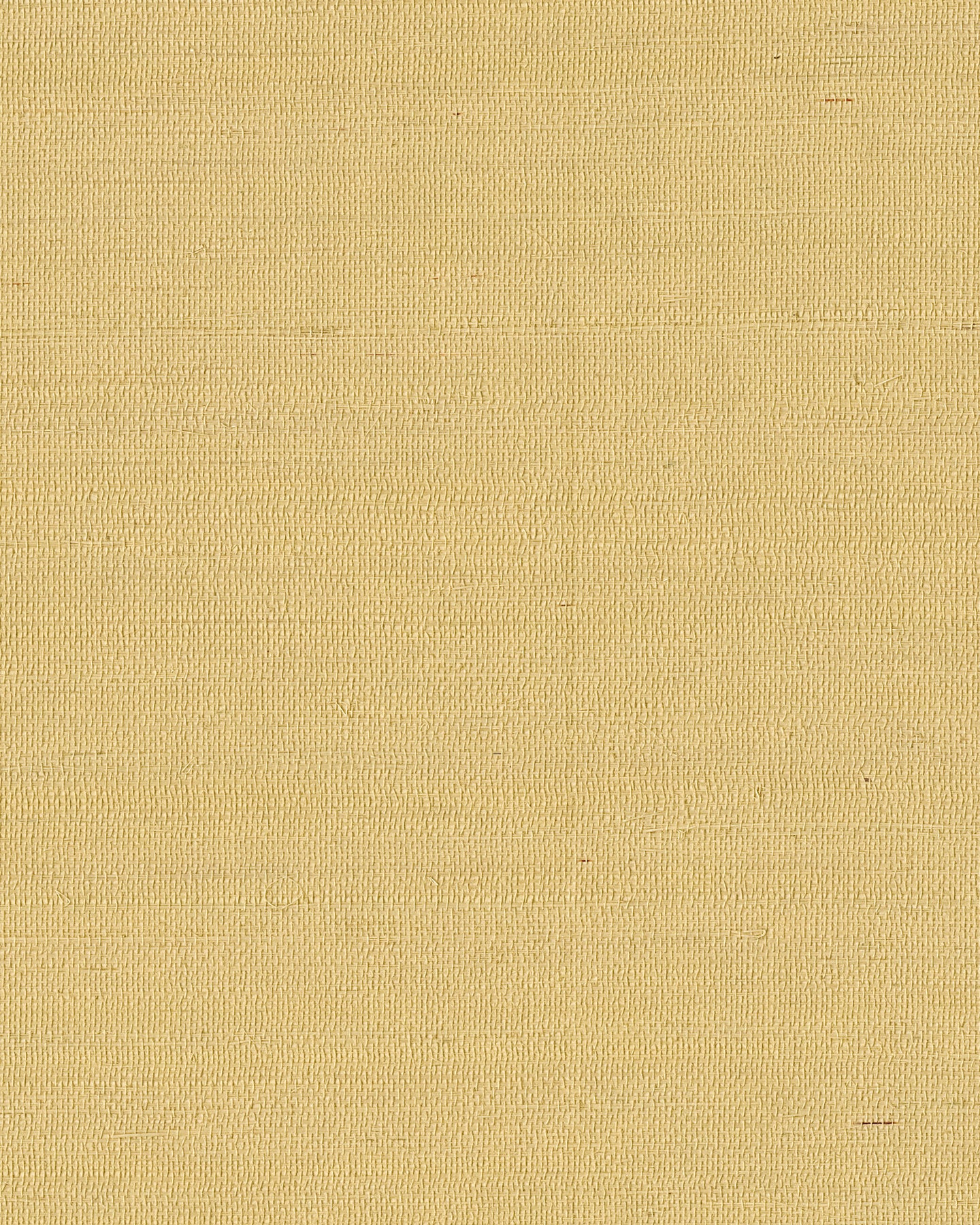 York Wallcoverings Grasscloth and Natural Resource Maguey Sisal Straw Wallpaper Traditional Grasscloth Beiges   - GV0113NW