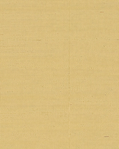 York Wallcoverings Grasscloth and Natural Resource Maguey Sisal Straw Wallpaper Traditional Grasscloth Beiges   - GV0113NW