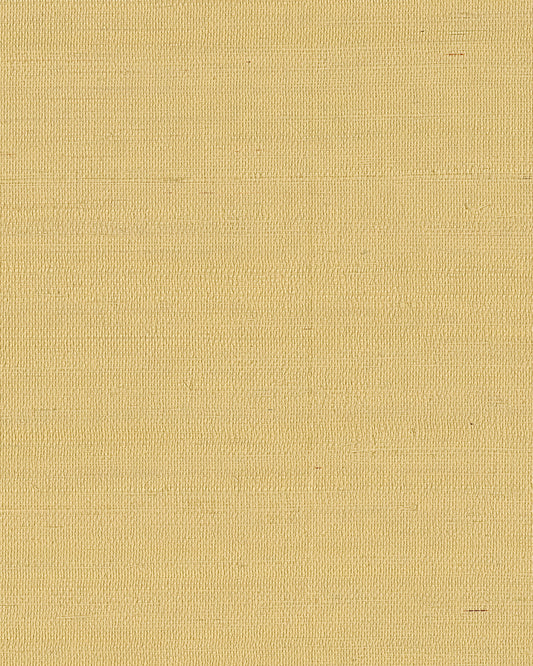 York Wallcoverings Grasscloth and Natural Resource Maguey Sisal Straw Wallpaper Traditional Grasscloth Beiges   - GV0113NW