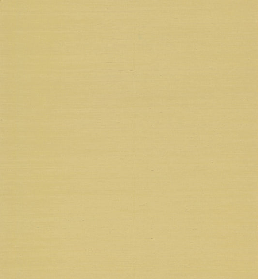 York Wallcoverings Designer Sisals Fan Deck Maguey Sisal Straw Wallpaper Traditional Grasscloth Beiges   - GV0113NWFD