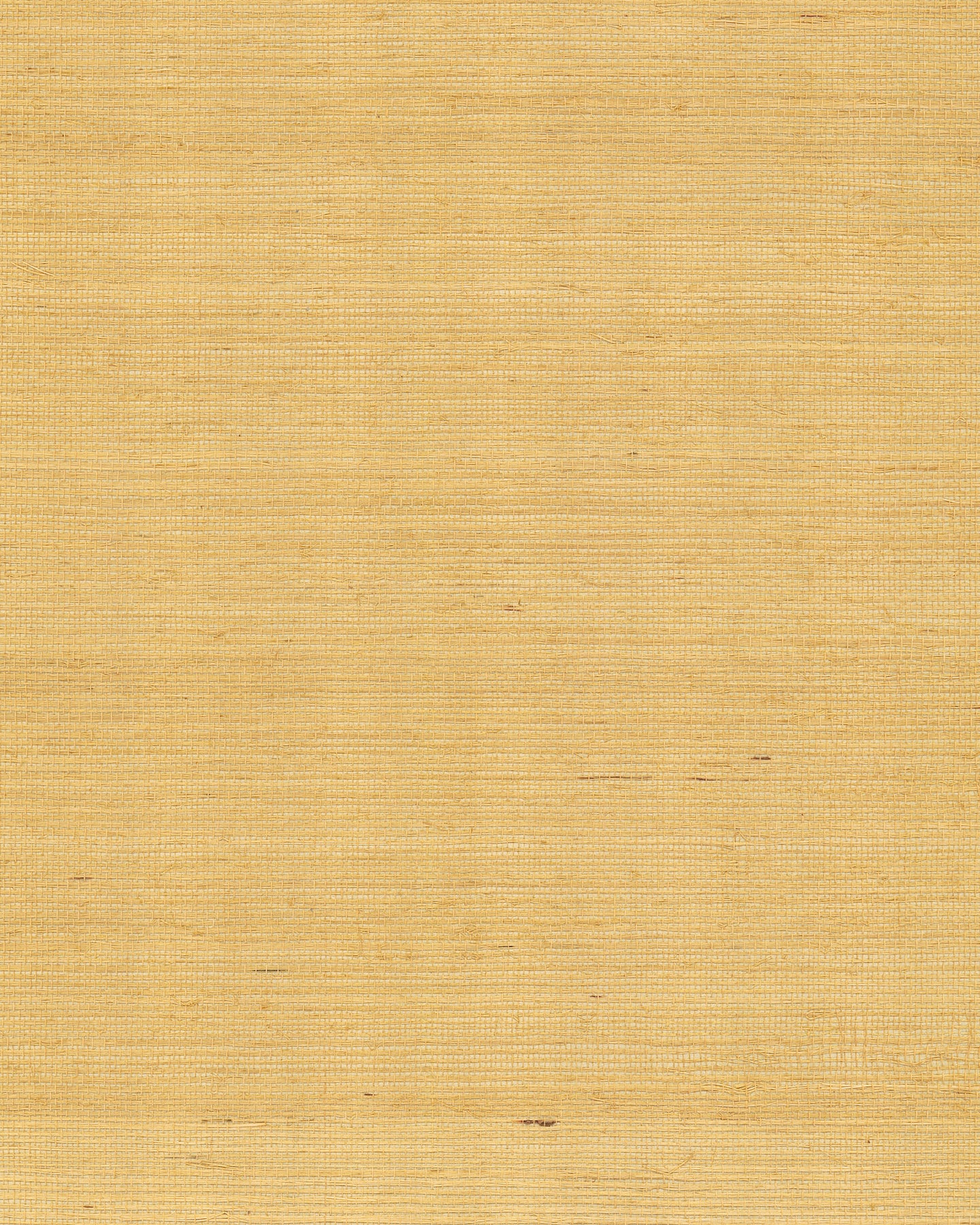 York Wallcoverings Grasscloth and Natural Resource Maguey Sisal Gold Wallpaper Traditional Grasscloth Metallics   - GV0114NW