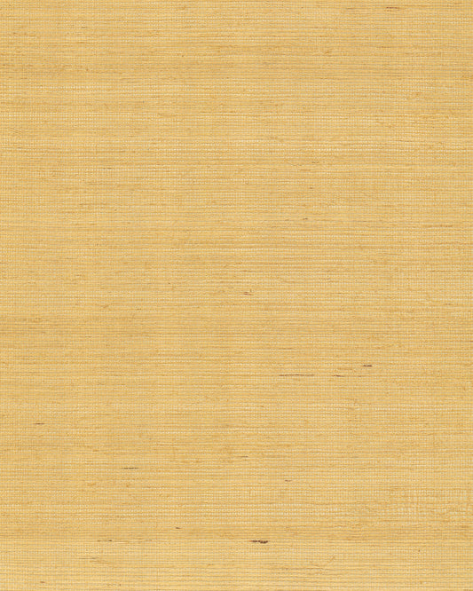 York Wallcoverings Grasscloth and Natural Resource Maguey Sisal Gold Wallpaper Traditional Grasscloth Metallics   - GV0114NW
