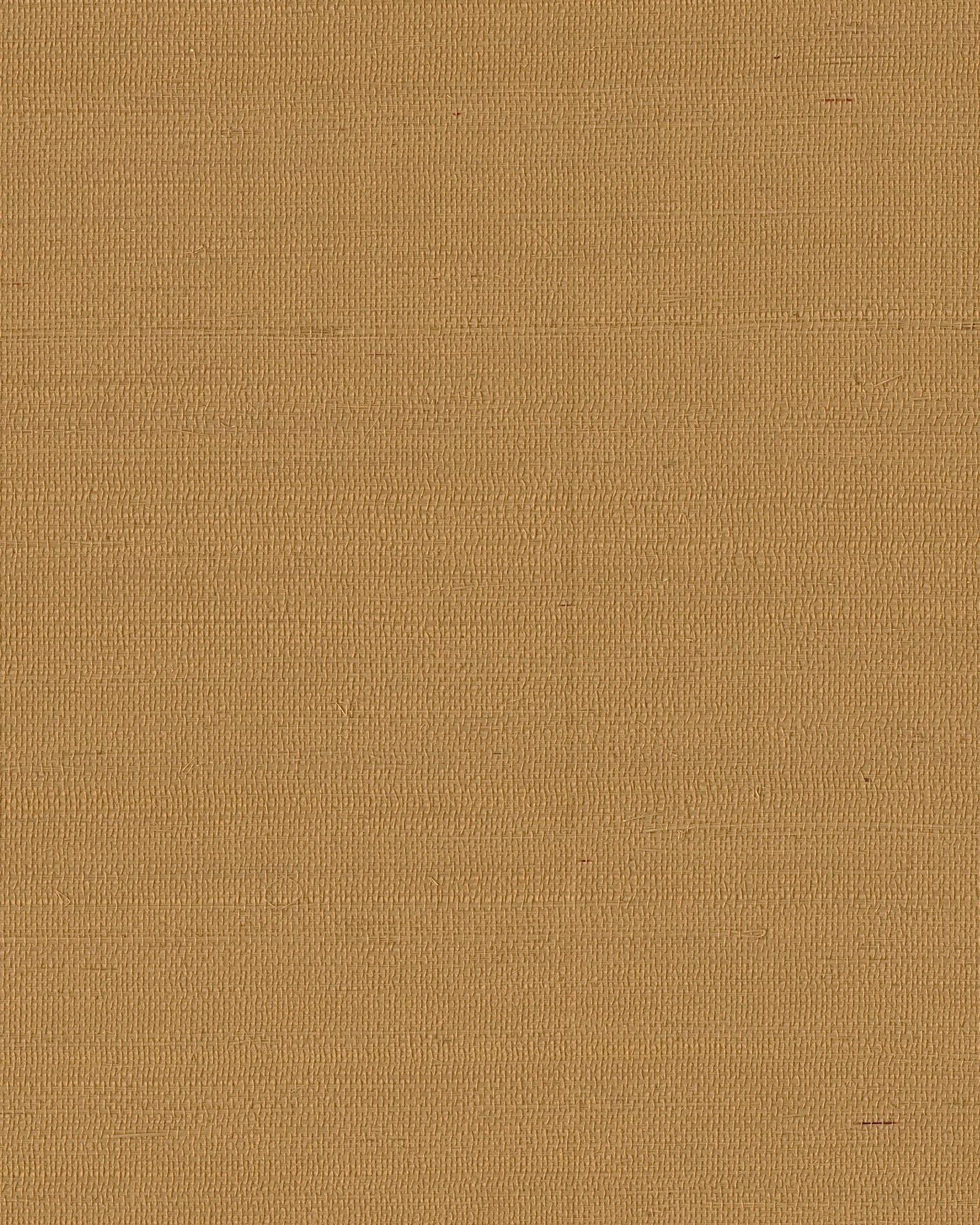 Warm golden-tan grasscloth wallpaper texture, woven fabric close-up.