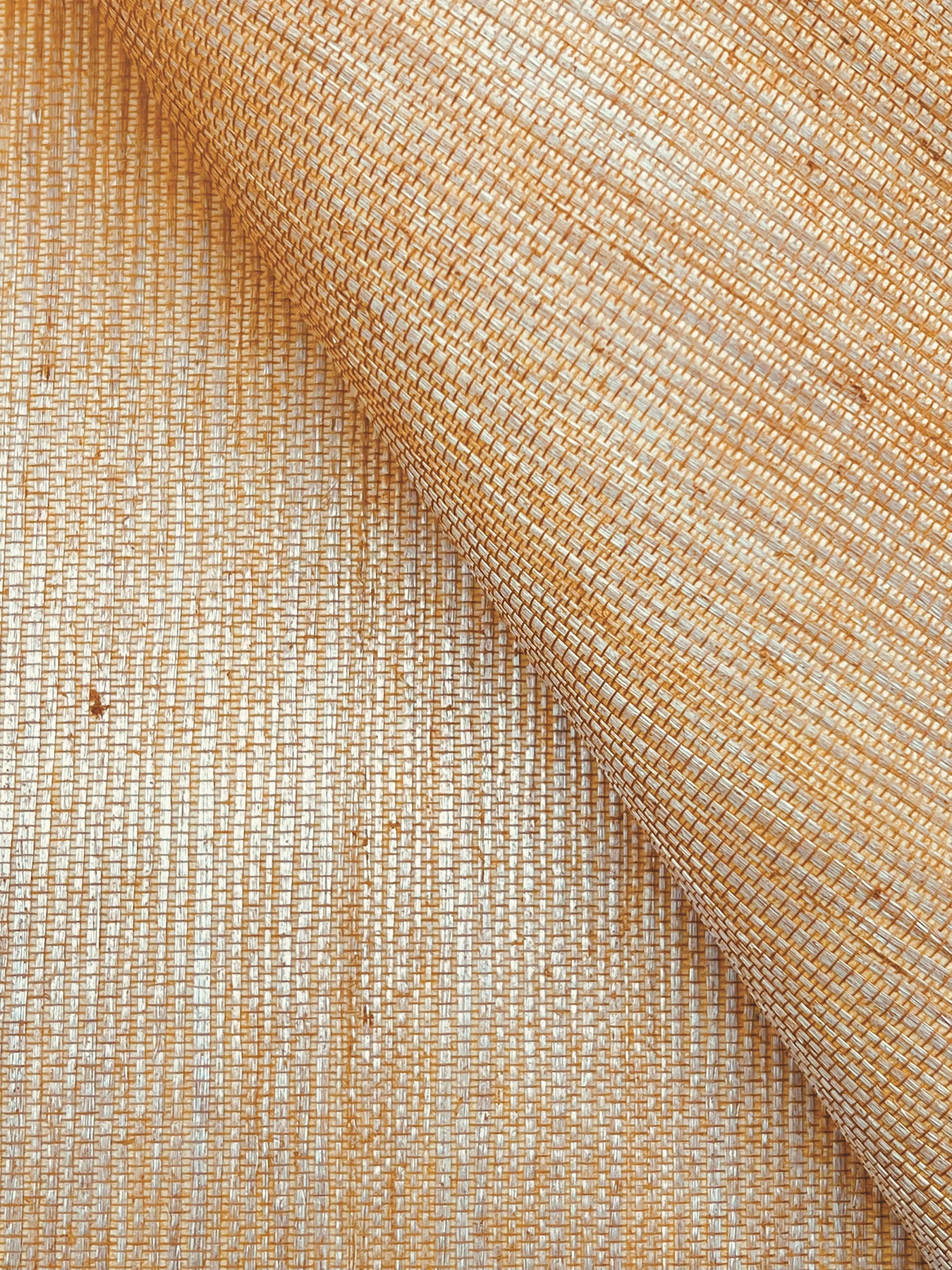 York Wallcoverings Designer Sisals Fan Deck Maguey Sisal Dijon Wallpaper Traditional Grasscloth Yellows   - GV0115NWFD