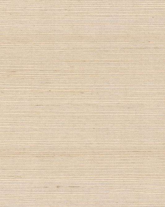 York Wallcoverings Grasscloth and Natural Resource Maguey Sisal Beige Wallpaper Traditional Grasscloth Beiges   - GV0118NW
