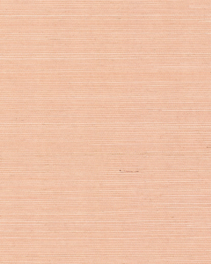 York Wallcoverings Grasscloth and Natural Resource Maguey Sisal Cameo Wallpaper Traditional Grasscloth Pinks   - GV0126NW