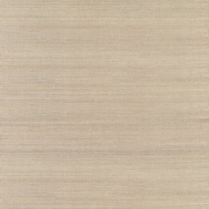 York Wallcoverings Designer Sisals Fan Deck Maguey Sisal Beige Wallpaper Traditional Grasscloth Metallics   - GV0136NWFD