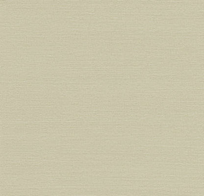 York Wallcoverings Designer Sisals Fan Deck Maguey Sisal Celery Wallpaper Traditional Grasscloth Greens   - GV0143NWFD