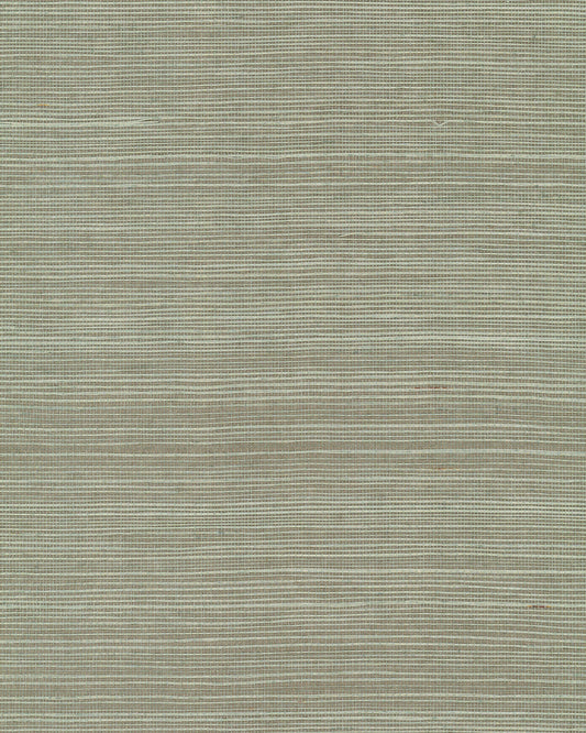 York Wallcoverings Grasscloth and Natural Resource Maguey Sisal Pine Wallpaper Traditional Grasscloth Greens   - GV0144NW