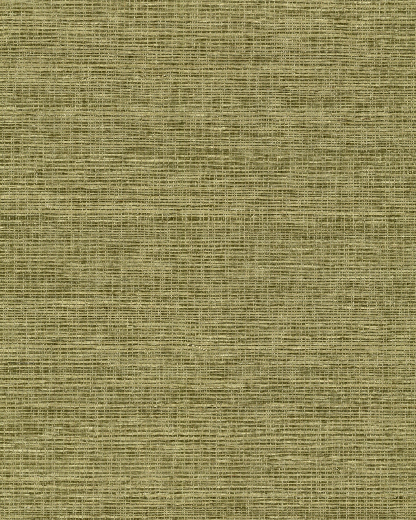 York Wallcoverings Grasscloth and Natural Resource Maguey Sisal Fern Wallpaper Traditional Grasscloth Greens   - GV0145NW