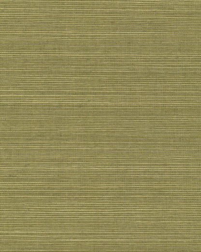 York Wallcoverings Grasscloth and Natural Resource Maguey Sisal Fern Wallpaper Traditional Grasscloth Greens   - GV0145NW
